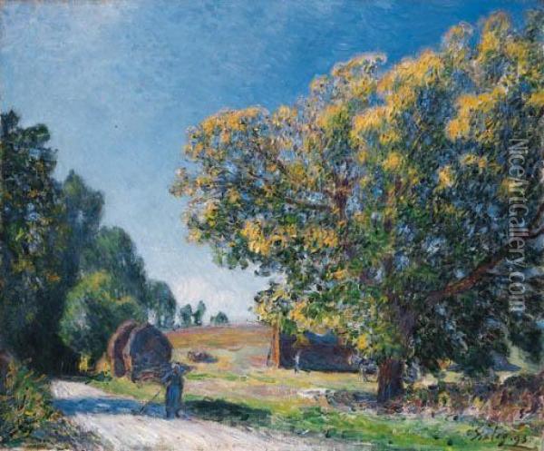 Autour De La Foret, Une Clairiere Oil Painting - Alfred Sisley
