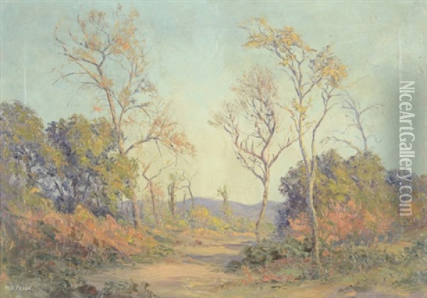 Southern California Landscape With Eucalyptus Trees And Dry Creek Bed In Late Summer Oil Painting - William Henry Price