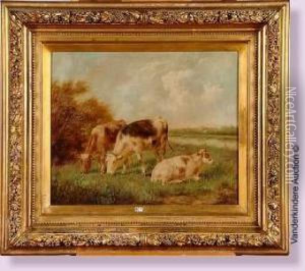 Vaches Au Pre Oil Painting - Arthur De Waerhert
