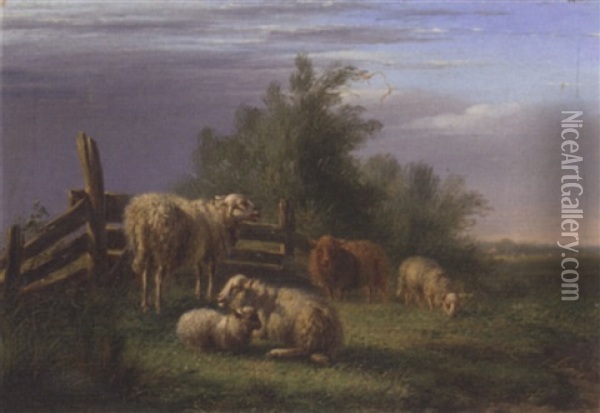 Sheep In Pasture Oil Painting - Bernardus Gerardus Ten Berge