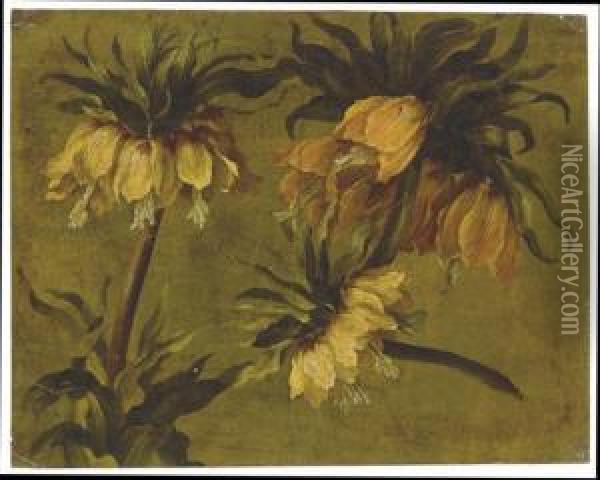 Fritillaria Imperialis Oil Painting - Pancrace Bessa
