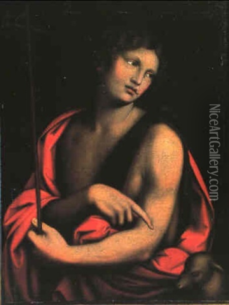 Halbfigurenbild Des Hl. Johannes Des Taufers Oil Painting -  Giampietrino