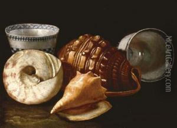 Three Shells And Two Ceramic Bowls Oil Painting - Cristoforo Munari