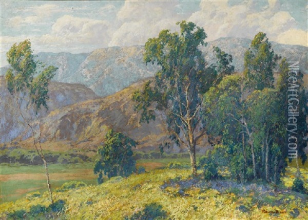 California Splendor Oil Painting - Maurice Braun