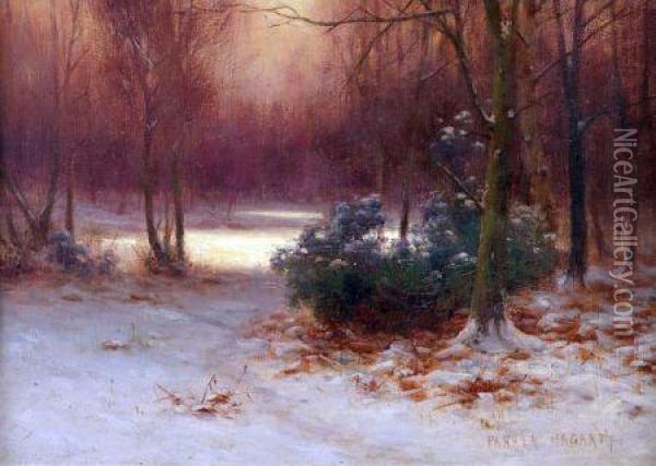 Woodland At Winter Oil Painting - Parker Hagarty