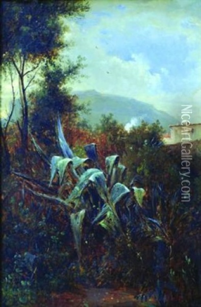 Paysage Aux Agaves Oil Painting - Jean-Joseph-Jules Defer
