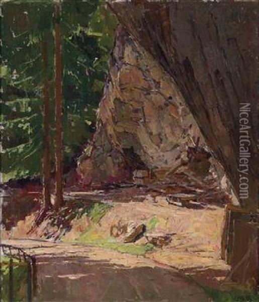 Path Through The Woods Am Semmering Oil Painting - Carl Moll
