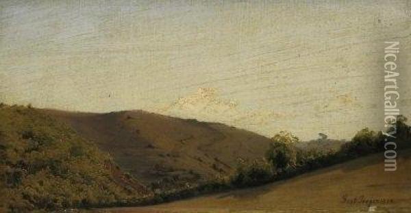Heather Landscape Near Hilden Oil Painting - Gustav Preyer