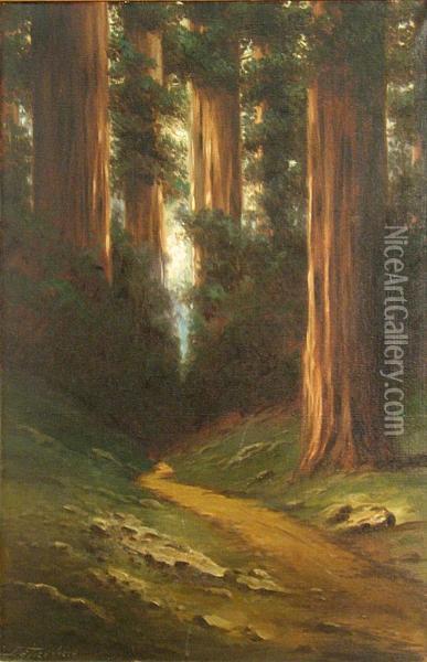 Path Through The Redwoods Oil Painting - Richard Detreville