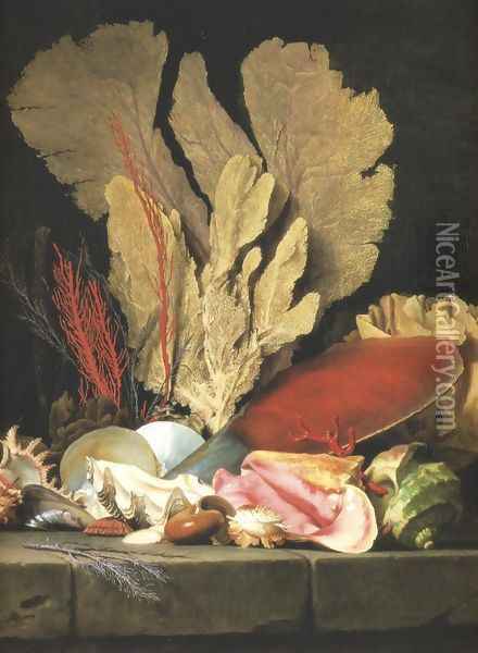 Still-Life with Tuft of Marine Plants, Shells and Corals 1769 Oil Painting - Anne Vallayer-Coster