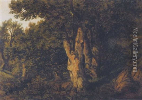 Im Eichenwald Oil Painting - Johann Georg Haeselich