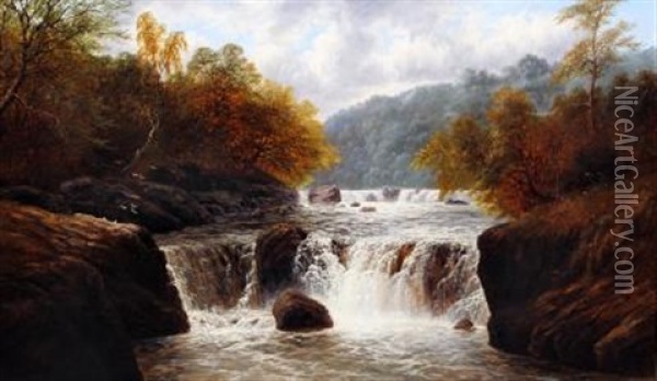Posforth Gill, Bolton Woods Oil Painting - William Mellor