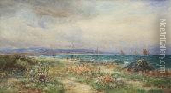 At Red Island, Skerries, Co. Dublin Oil Painting - Alexander Williams