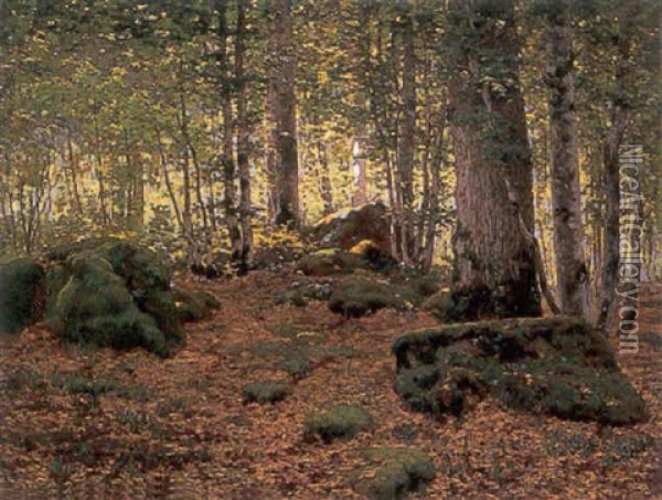 Luminous Forest At Fontainebleau Oil Painting - Jean Ferdinand Monchablon