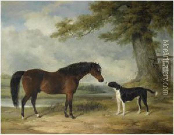 A Pony With A Dog Oil Painting - William Barraud