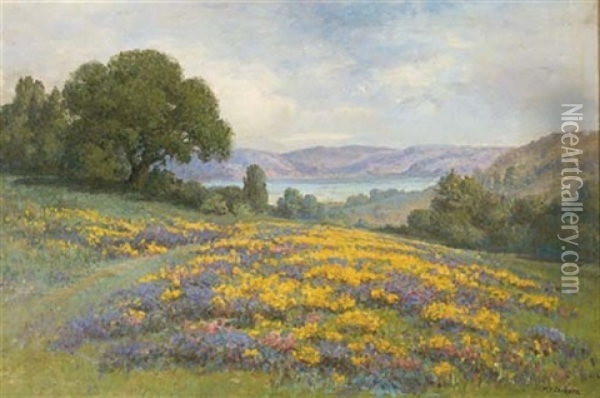 Poppy Field Oil Painting - William Franklin Jackson