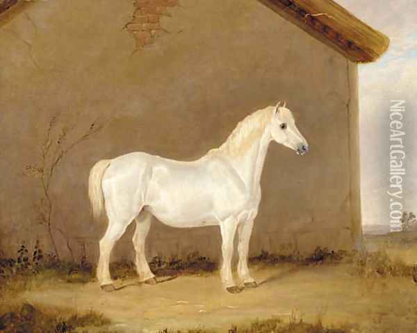 A grey horse beside a barn Oil Painting - English School