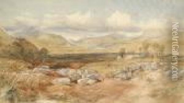 A Country Landscape Oil Painting - David Cox
