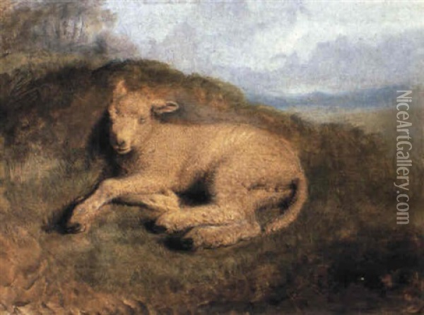 A Sleeping Lamb Oil Painting - Sir Edwin Henry Landseer