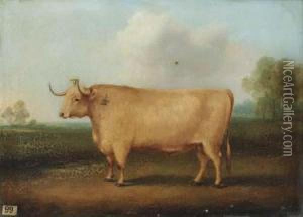 A Longhorned Bull In A Landscape Oil Painting - William Henry Davis