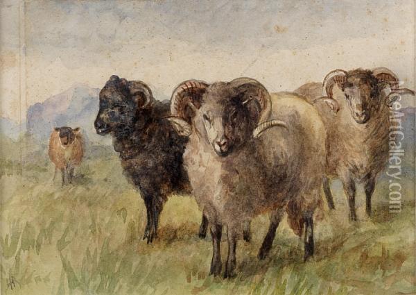 ````````mountain Sheep' Oil Painting - Hannah Barlow
