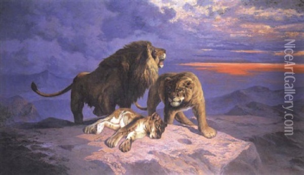 A Pride Of Lions Oil Painting - John (Giovanni) Califano