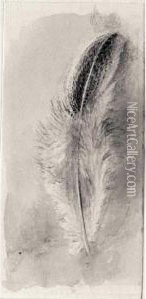 Study Of A Feather Oil Painting - John Ruskin