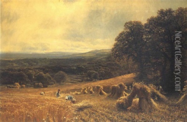 Harvesting On The North Downs Oil Painting - George Vicat Cole