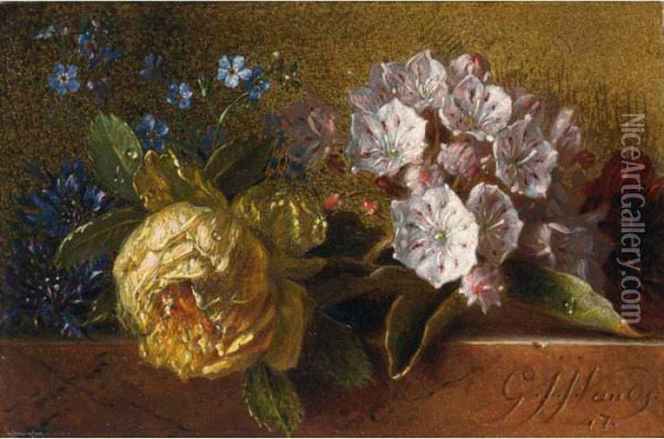 Flowers On A Ledge Oil Painting - Georgius Jacobus J. Van Os
