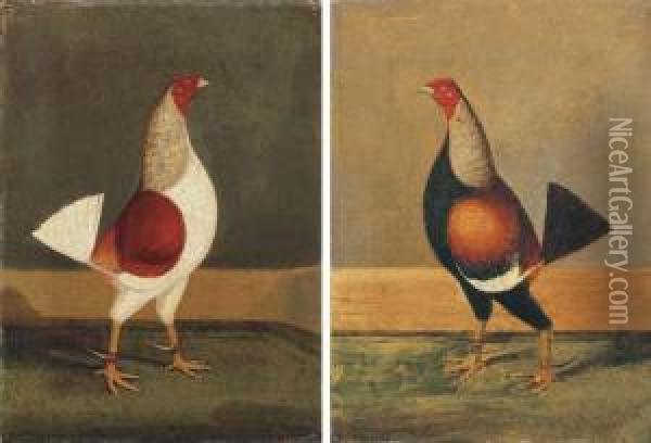 Fighting Cocks Oil Painting - Herny Jr Alken