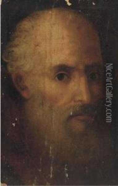 Head Of A Bearded Man Oil Painting - Domenico Tintoretto