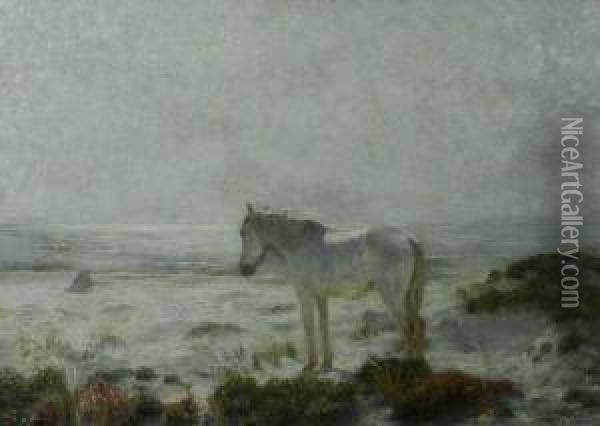 Sunrise Horse Onlong Island Sound Oil Painting - Henry Rankin Poore