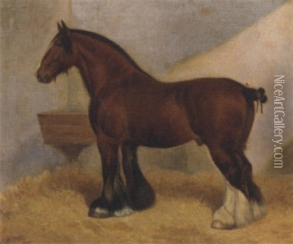 A Heavy Horse Oil Painting - Frank Babbage