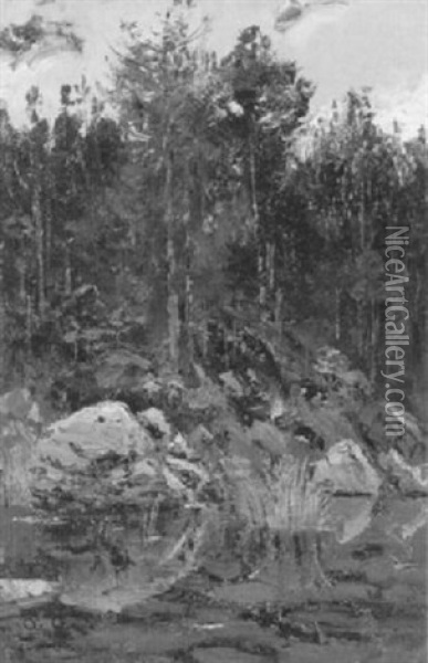 Uferpartie Eines Waldsees Mit Felsen Und Tannen Oil Painting - Otto Gampert