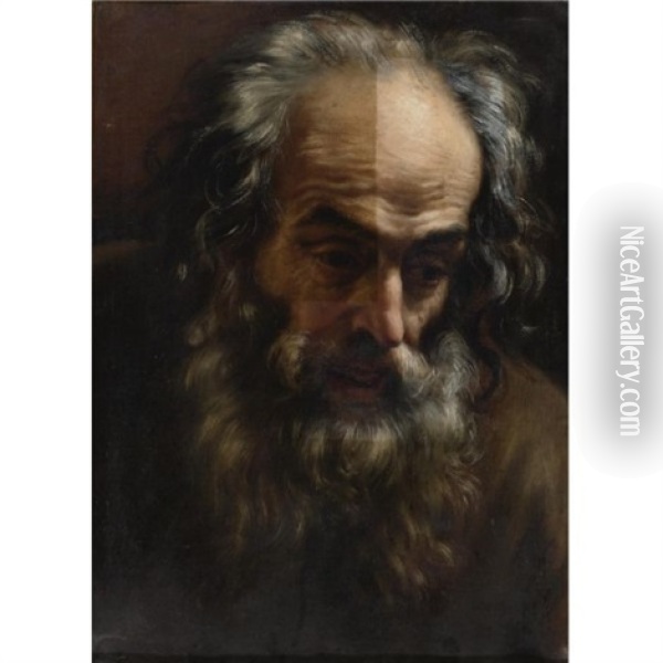 Head Of An Old Man Oil Painting - Giovanni Battista Gaulli