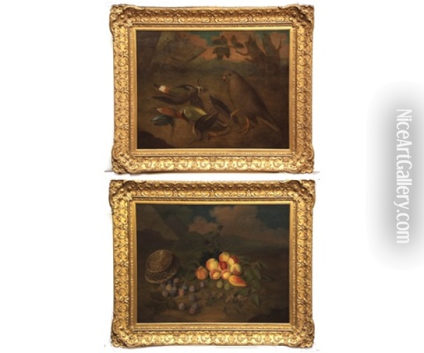 Still Life Studies Of Birds; And Mixed Fruit With Butterfly And Basket (a Pair) Oil Painting - James (Sillet) Sillett
