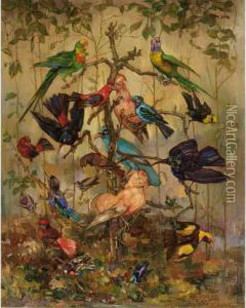 Vogels Van Diverse Pluimage Oil Painting - Marie Van Waning-Stevels