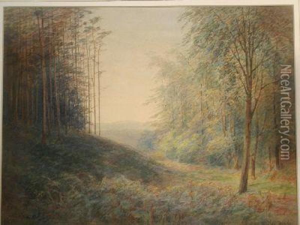 Woodland Scene Oil Painting - Alvan Fisher