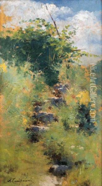 Sentiero Tra Il Verde Oil Painting - Alceste Campriani
