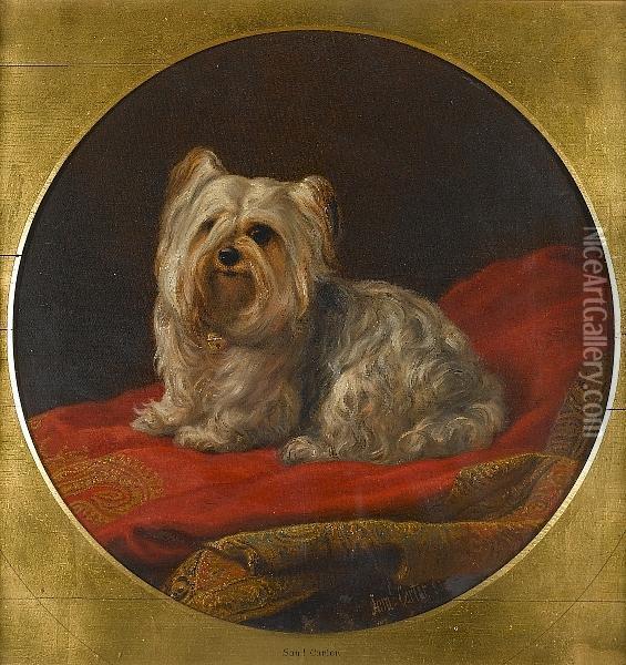 A Yorkshire Terrier On A Divan Oil Painting - Samuel John Carter