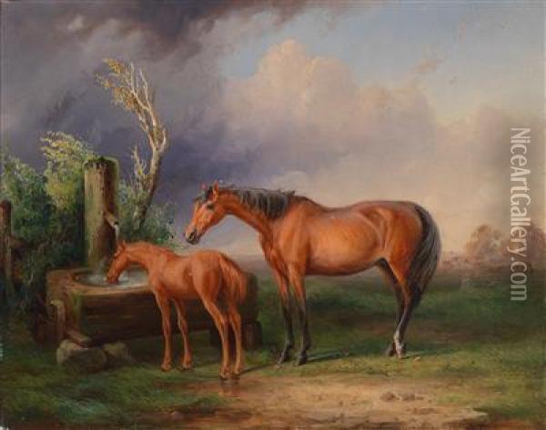 Stute Und Fohlen An Der Tranke Oil Painting - Gustav Adolf Friedrich