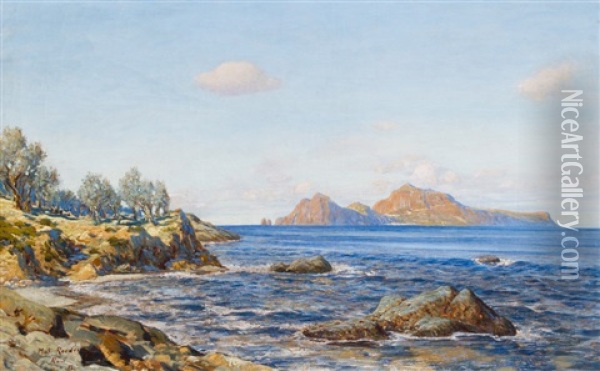 Blick Auf Capri Oil Painting - Max Roeder