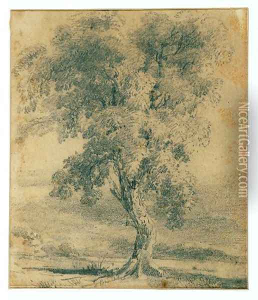 Landscape with Tree Oil Painting - Louis Buvelot