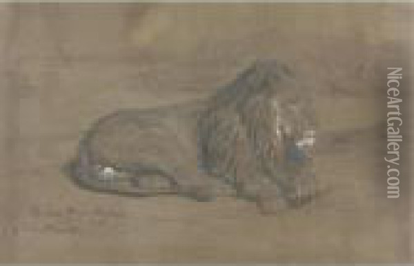 A Seated Lion Oil Painting - Rosa Bonheur