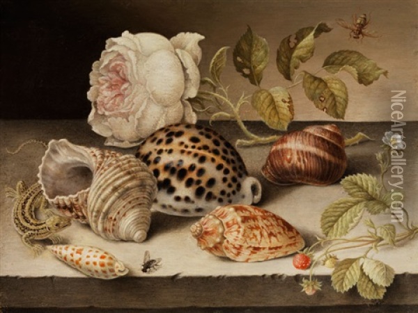 Kleines Stilleben Mit Meeresmuscheln Und Meeresschnecken Zwischen Rose, Erdbeeren Und Eidechse Oil Painting - Balthasar Van Der Ast