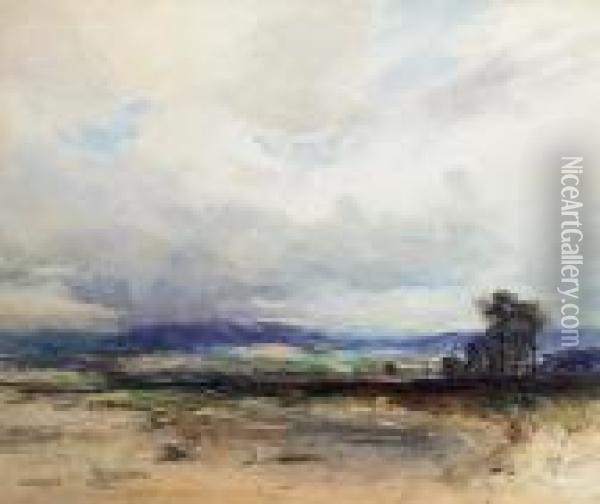 Moor Near Lossiemouth Oil Painting - David West