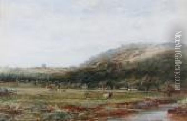 An Extensive Landscape In The Welshmarches Oil Painting - Albert Pollitt