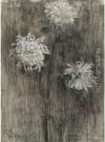 Three Chysanthemums Oil Painting - Piet Mondrian