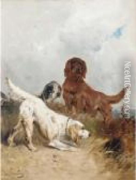 Setters On The Scent Oil Painting - Henry Schouten