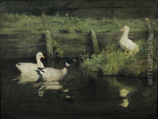 Ententeich Oil Painting - Jacobus Frederik Sterre De Jong